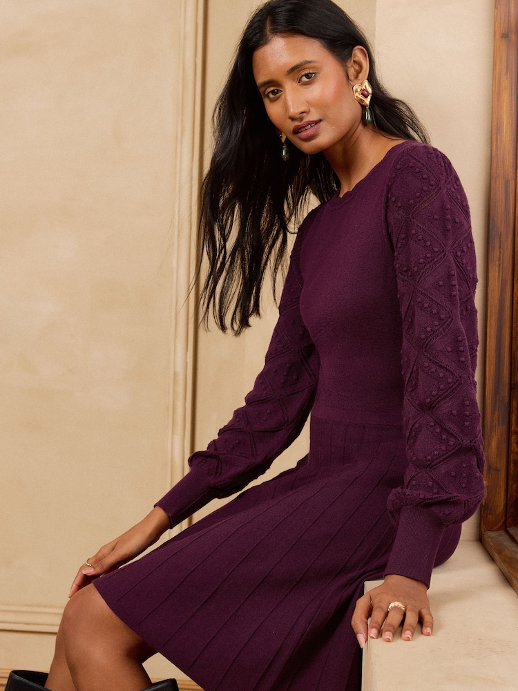 Love & Roses Burgundy Red Petite Boat Neck Scalloped Knitted Mini Dress - Image 5 of 5