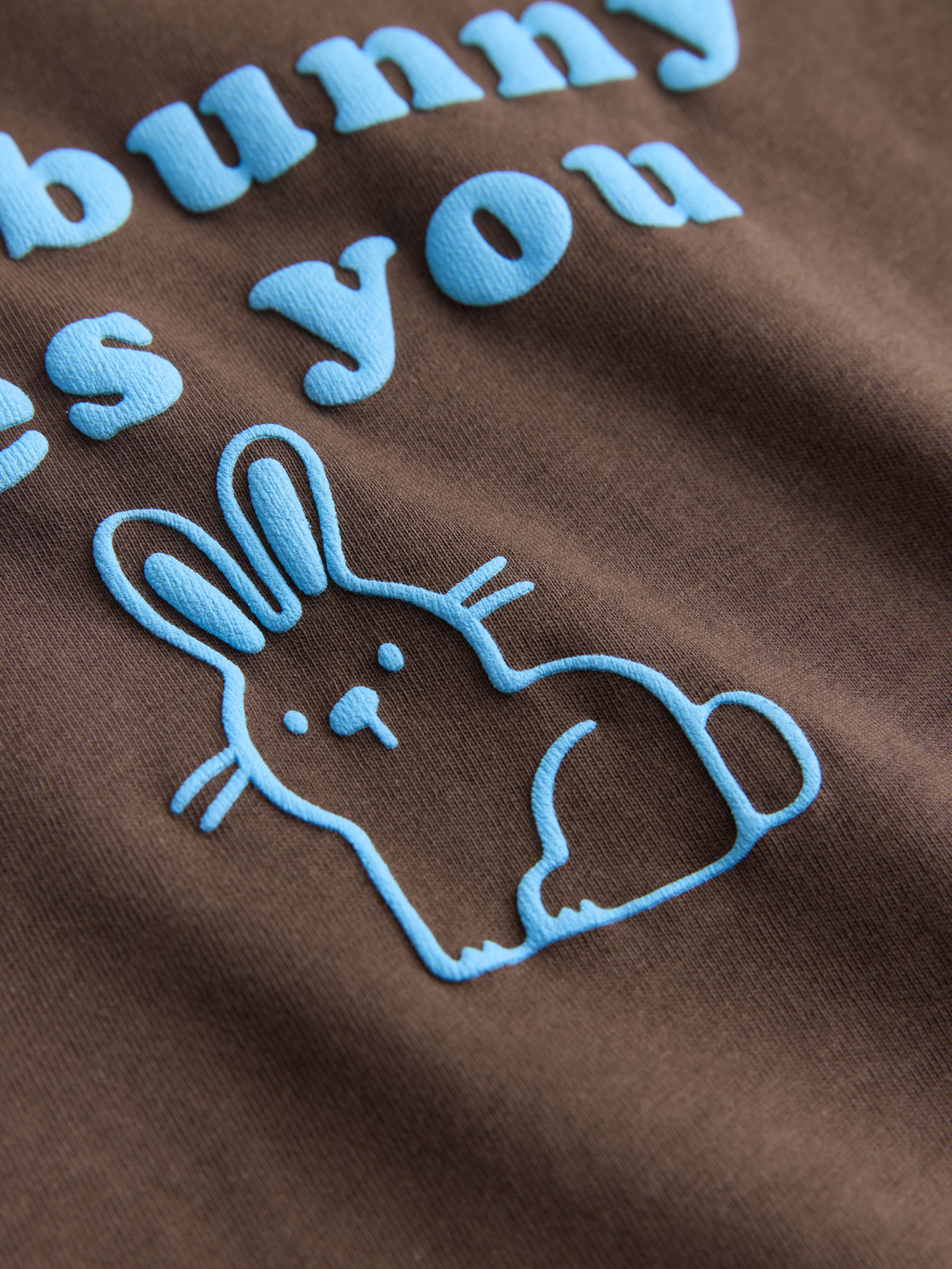 Buy Brown Short Sleeve Easter Graphic T-Shirt (3mths-7yrs) from Next USA