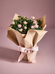 Pink Mothers Day Rose Gift Wrapped Real Plant - Image 1 of 3