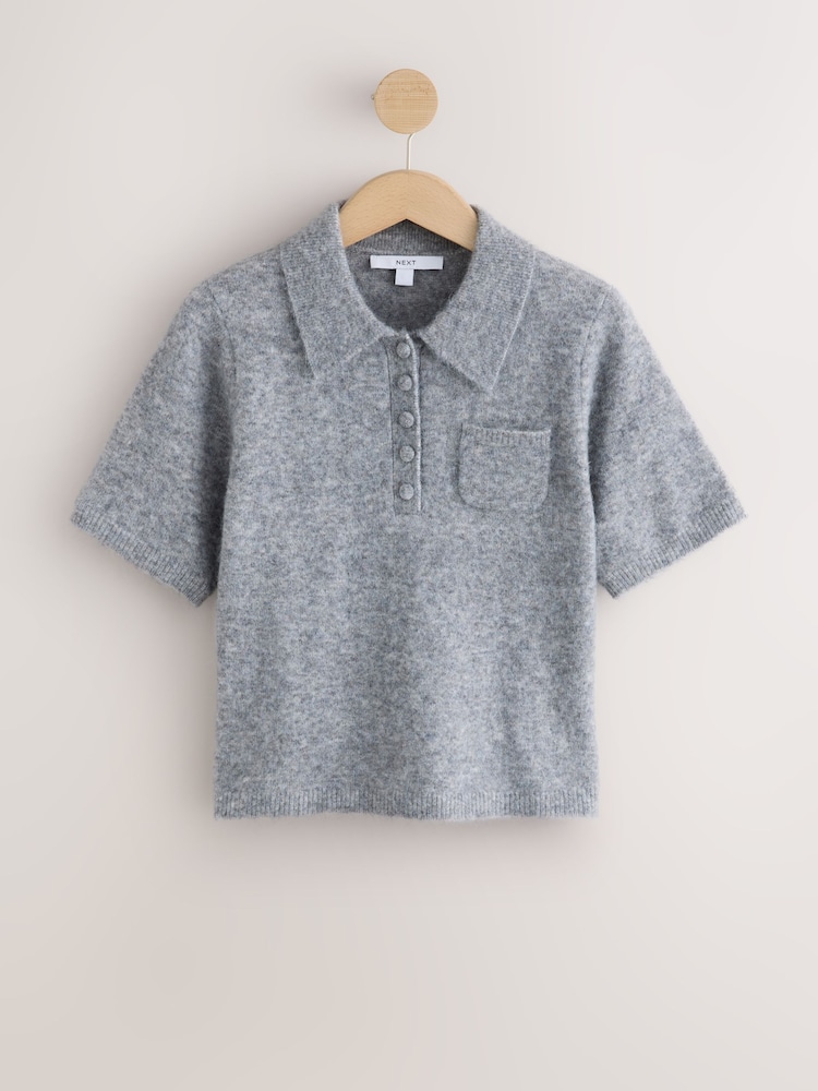 אפור - Short Sleeve Knitted Polo Top With Wool - תמונה 1 מתוך 3 אפור - Short Sleeve Knitted Polo Top With Wool - תמונה 1 מתוך 3