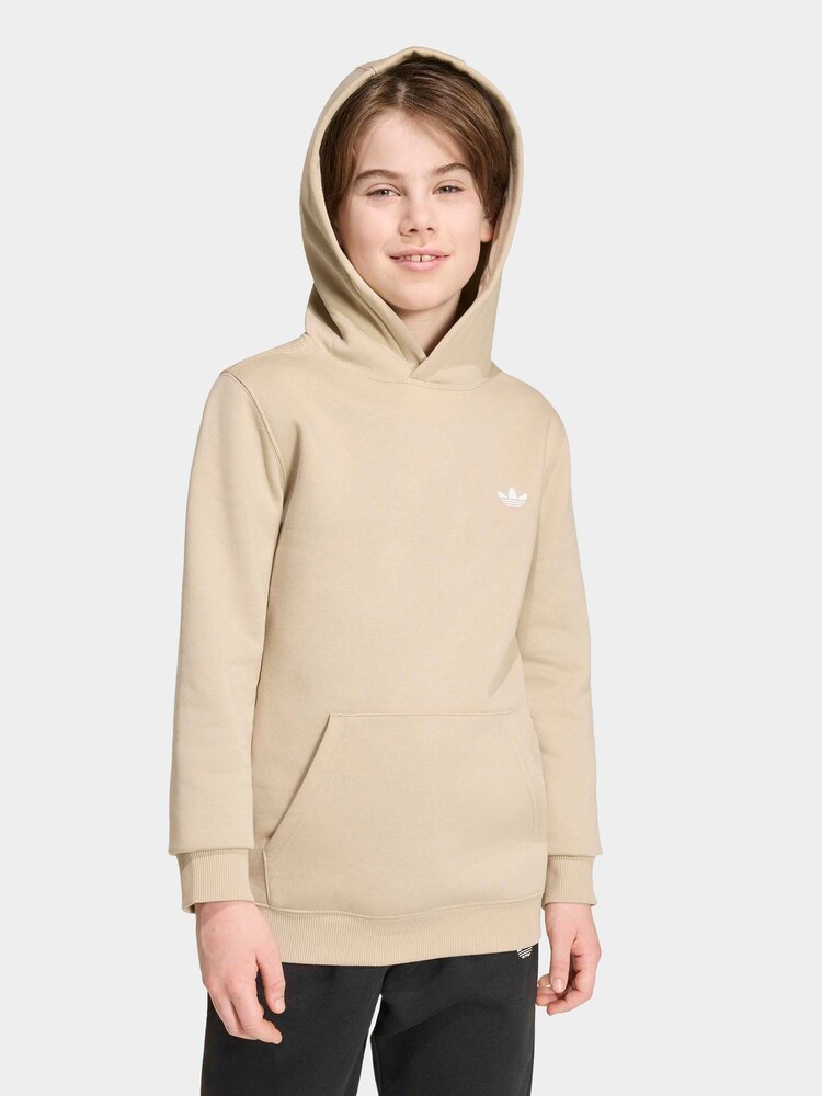 Коричневий - adidas Originals Regular Fleece Hoodie - Image 1 of 6