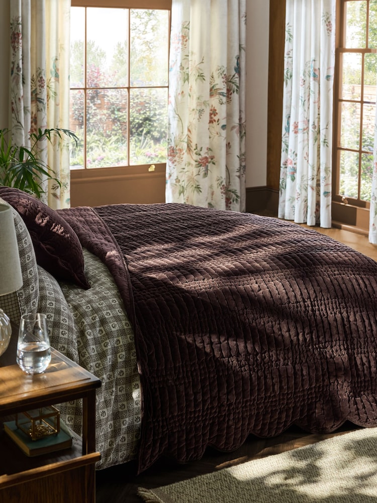 Copriletto in velluto di cotone con bordo smerlato Laura Ashley Brady - Immagine 1 di 4 Copriletto in velluto di cotone con bordo smerlato Laura Ashley Brady - Immagine 1 di 4