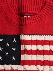 Superdry Red Athletic Essentials Americana Flag Crew Neck Knit Jumper - Image 6 of 6