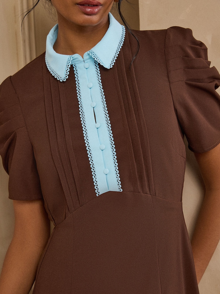 Love & Roses Chocolate Brown Contrast Collared Midi Dress - Image 2 of 4 Love & Roses Chocolate Brown Contrast Collared Midi Dress - Image 2 of 4