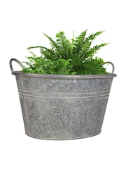 Dibor Silver Galvanised Tub Planter - Image 2 of 6