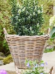 Dibor Brown Lined Basket with Handles - Image 3 of 5