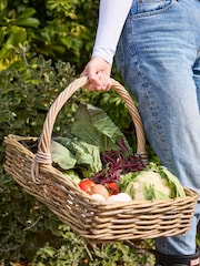 Dibor Brown Large Basket with Handle - Image 1 of 5