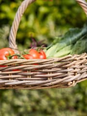 Dibor Brown Large Basket with Handle - Image 3 of 5