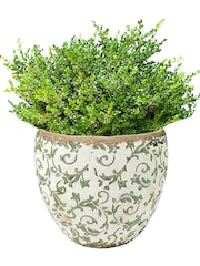 Dibor Green Botanical Plant Pot - Image 2 of 6