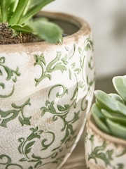 Dibor Green Botanical Plant Pot - Image 3 of 6