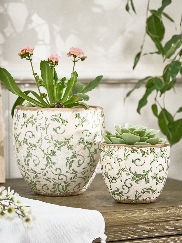 Dibor Green Botanical Plant Pot - Image 6 of 6