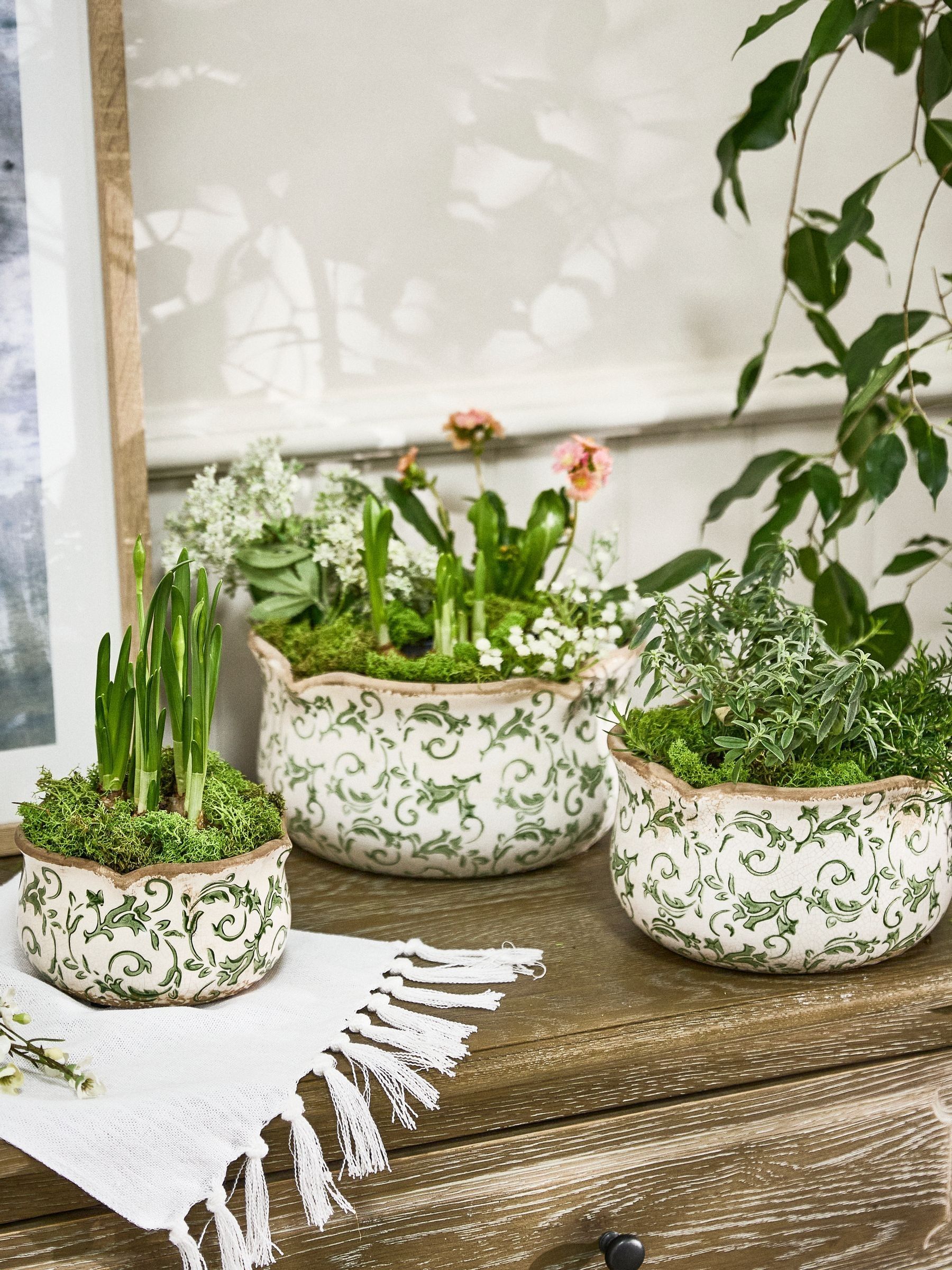 Dibor Unisex Cream Set Of 3 Vintage Irina Green Botanical Pot Flower Planters In | : Large - Image 1