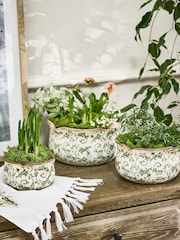 Dibor Set of 3 Green Planters - Image 1 of 6