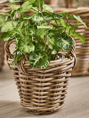 Dibor Brown Lined Basket with Handles - Image 1 of 4