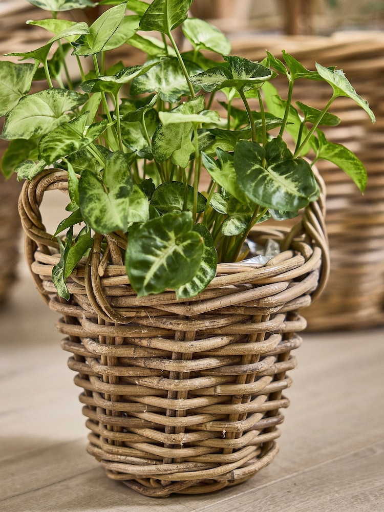 Dibor Brown Lined Basket with Handles - Image 1 of 4 Dibor Brown Lined Basket with Handles - Image 1 of 4