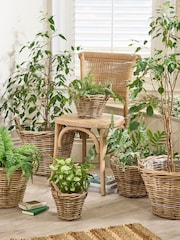 Dibor Brown Lined Basket with Handles - Image 4 of 4