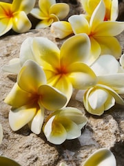 Dolce&Gabbana Light Blue Eau De Parfum 100ml - Image 5 of 9