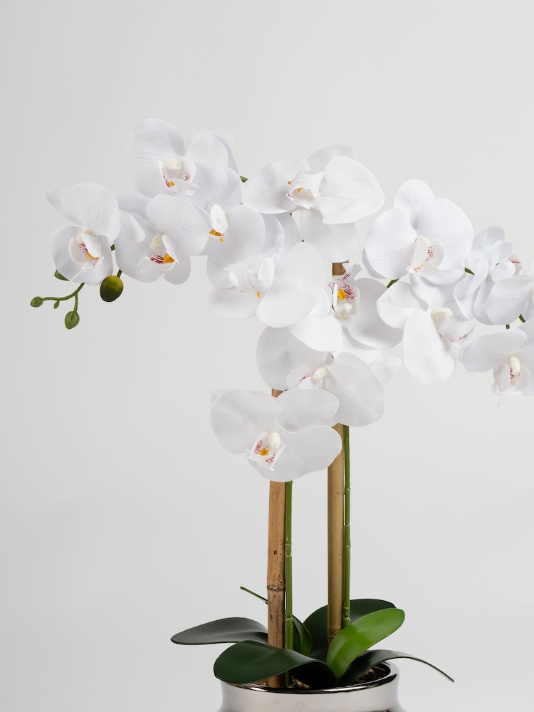 Scottish Everlastings Ltd White Faux Orchid in Ceramic Pot - Image 2 of 3 Scottish Everlastings Ltd White Faux Orchid in Ceramic Pot - Image 2 of 3