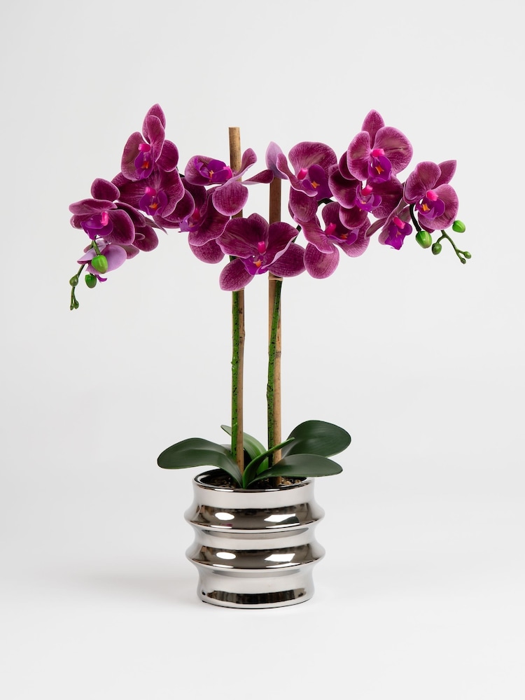 Scottish Everlastings Ltd Pink Faux Orchid in Ceramic Pot - Image 2 of 3 Scottish Everlastings Ltd Pink Faux Orchid in Ceramic Pot - Image 2 of 3