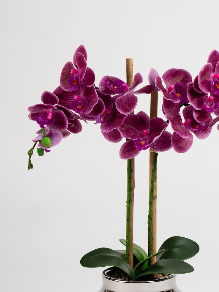 Scottish Everlastings Ltd Pink Faux Orchid in Ceramic Pot - Image 3 of 3 Scottish Everlastings Ltd Pink Faux Orchid in Ceramic Pot - Image 3 of 3