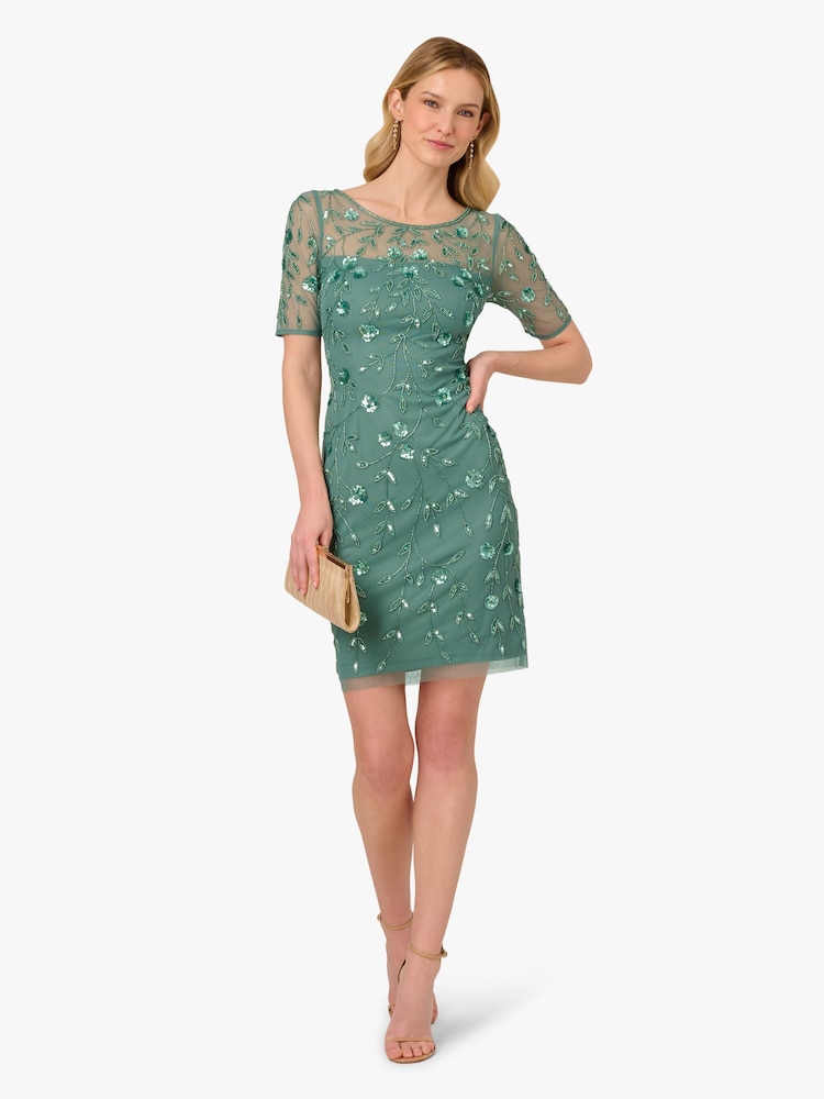 adrianna papell short sleeve beaded cocktail dress Grey Blouson Short Sleeve Beaded Long Dress