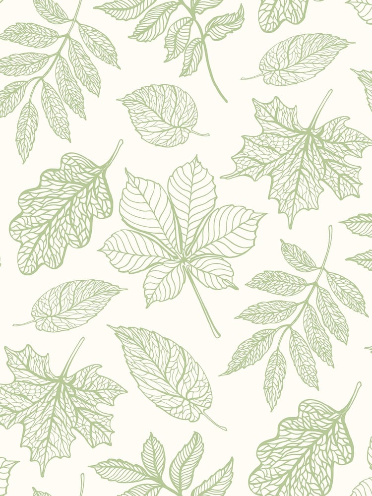 Hoopla Walls Apple Leaf Silhouette A4 Wallpaper Sample - Image 1 of 1