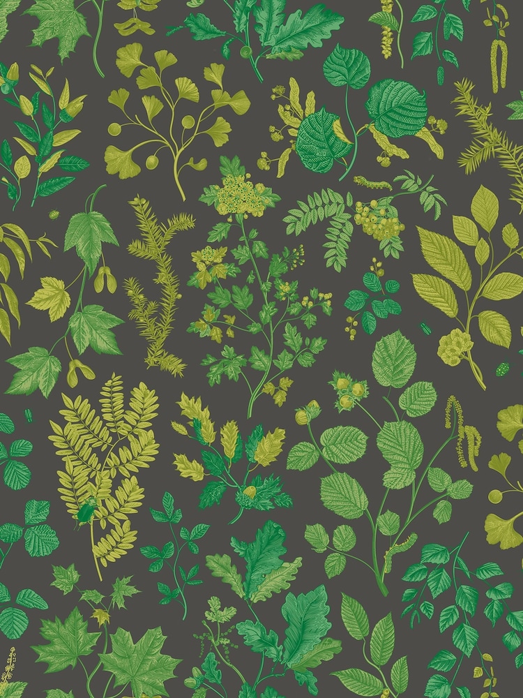 Hoopla Walls Charcoal Emerald Botanical Leaves A4 Wallpaper Sample - Image 1 of 1