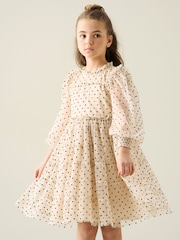 Angel & Rocket Anya Embroidered Mesh Dress - 画像 4 / 4