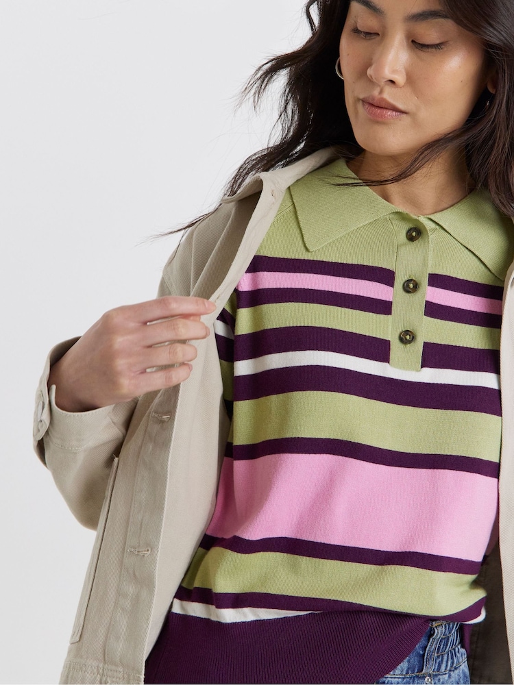 JD Williams Stripe Knitted Polo Jumper - Imaginea 4 din 4