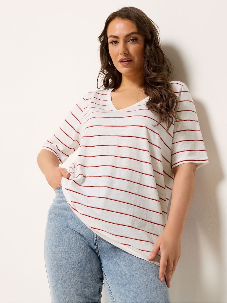 Yours Curve White Stripe Short Sleeve T-Shirt - Image 1 of 5