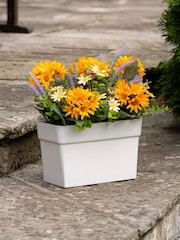 Scottish Everlastings Ltd Orande Yellow Artificial Daisy UV Trough - Image 1 of 3