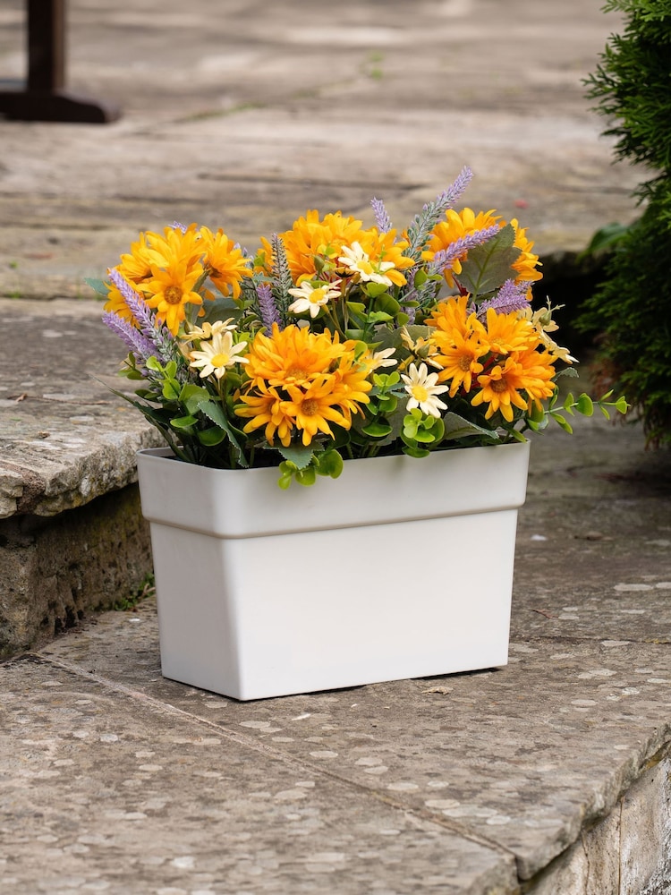Scottish Everlastings Ltd Orande Yellow Artificial Daisy UV Trough - Image 1 of 3