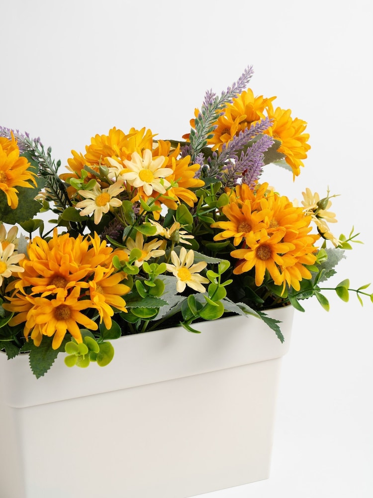 Scottish Everlastings Ltd Orande Yellow Artificial Daisy UV Trough - Image 2 of 3