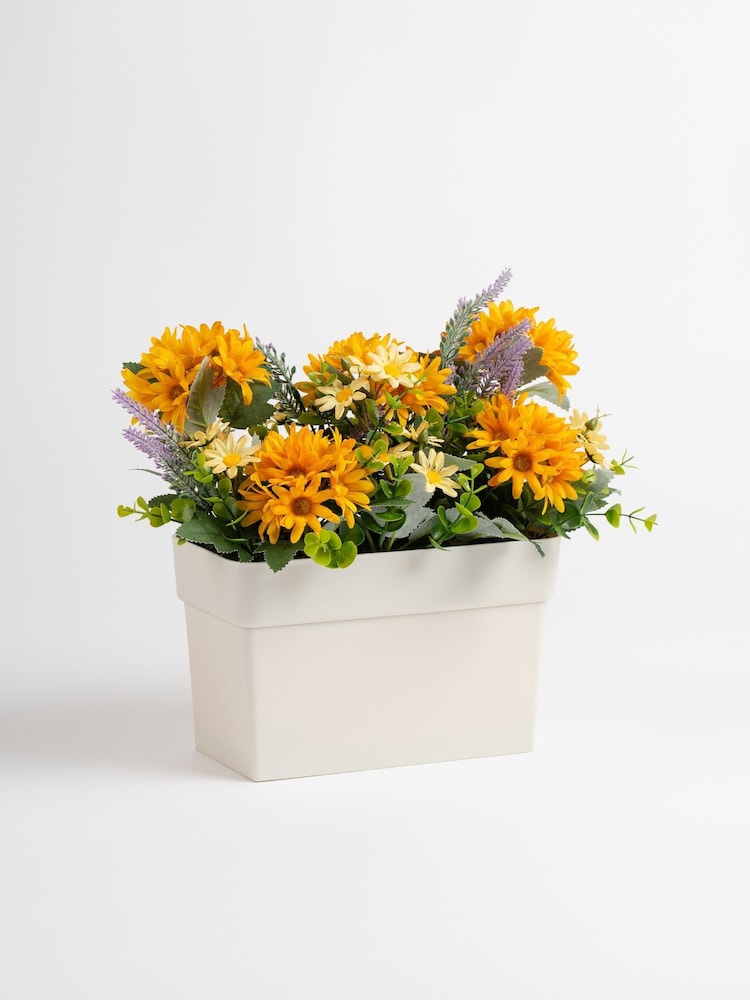 Scottish Everlastings Ltd Orande Yellow Artificial Daisy UV Trough - Image 3 of 3
