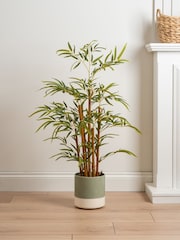Scottish Everlastings Ltd Green Artificial Tree - Image 1 of 3