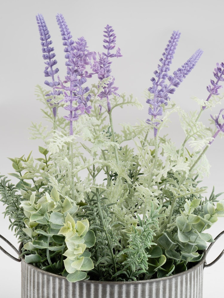 Scottish Everlastings Ltd Lavender Artificial Lavender in Iron Pot - Image 2 of 3