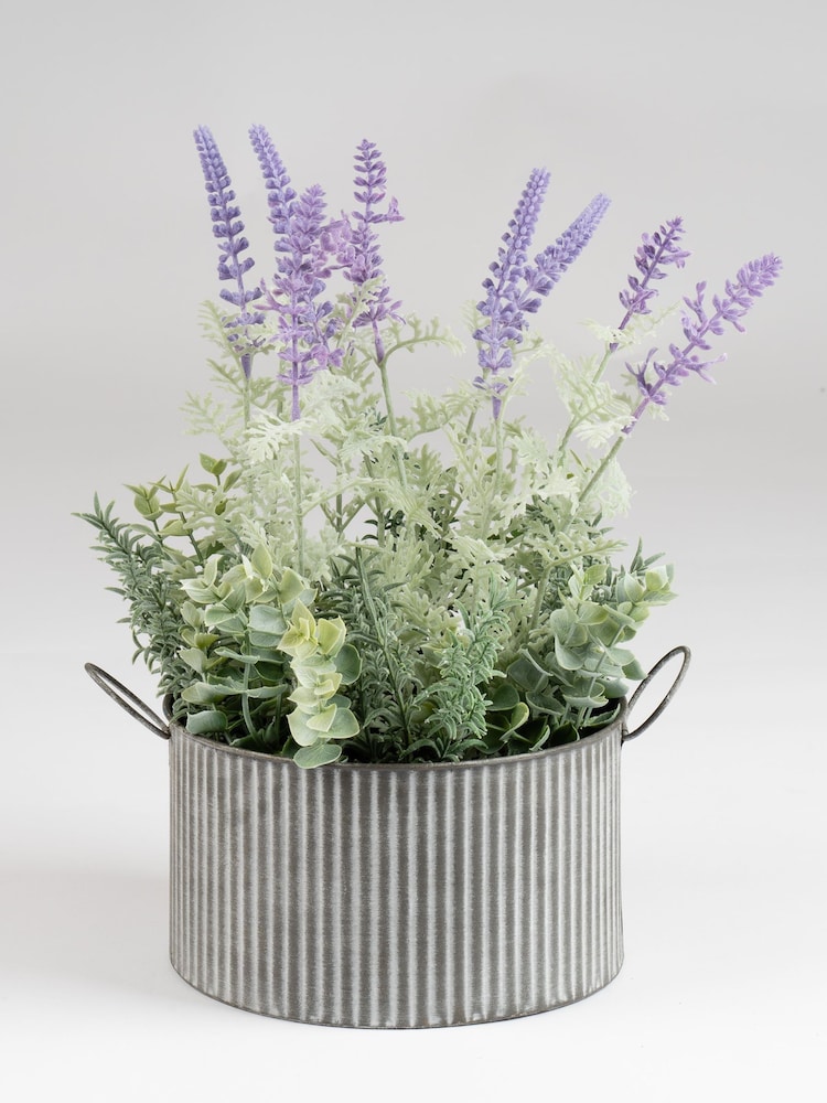 Scottish Everlastings Ltd Lavender Artificial Lavender in Iron Pot - Image 3 of 3