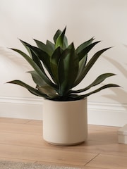 Scottish Everlastings Ltd Green Oversized Artificial Agave - Image 1 of 3