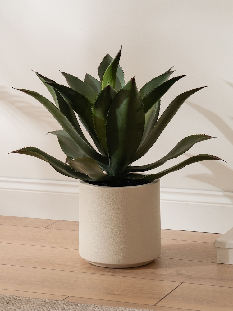 Scottish Everlastings Ltd Green Oversized Artificial Agave - Image 1 of 3