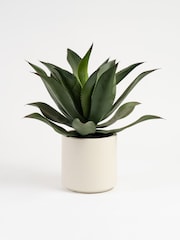 Scottish Everlastings Ltd Green Oversized Artificial Agave - Image 2 of 3