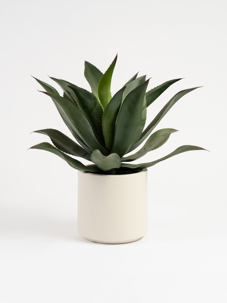Scottish Everlastings Ltd Green Oversized Artificial Agave - Image 2 of 3