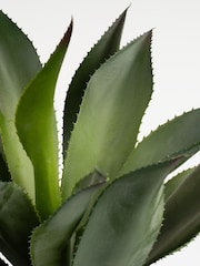Scottish Everlastings Ltd Green Oversized Artificial Agave - Image 3 of 3