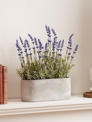 Scottish Everlastings Ltd Purple Artificial Lavender in Oval Trough - Image 1 of 3