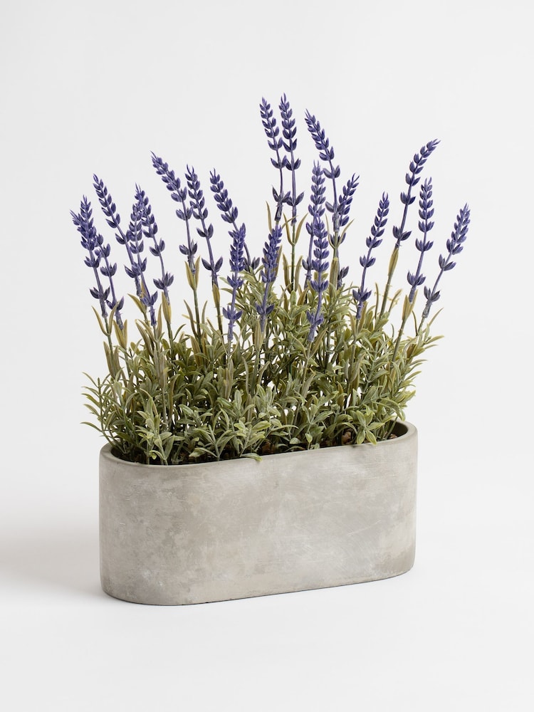 Scottish Everlastings Ltd Purple Artificial Lavender in Oval Trough - Image 3 of 3