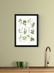 East End Prints Black All the Herbs Wall Art Print by Natalie Cass - Image 1 of 2