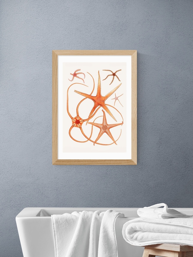 East End Prints Oak Vintage Starfish 2 Wall Art Print by Oh Fine - Image 1 of 2 East End Prints Oak Vintage Starfish 2 Wall Art Print by Oh Fine - Image 1 of 2