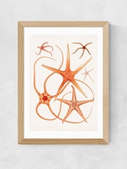 East End Prints Oak Vintage Starfish 2 Wall Art Print by Oh Fine - Image 2 of 2