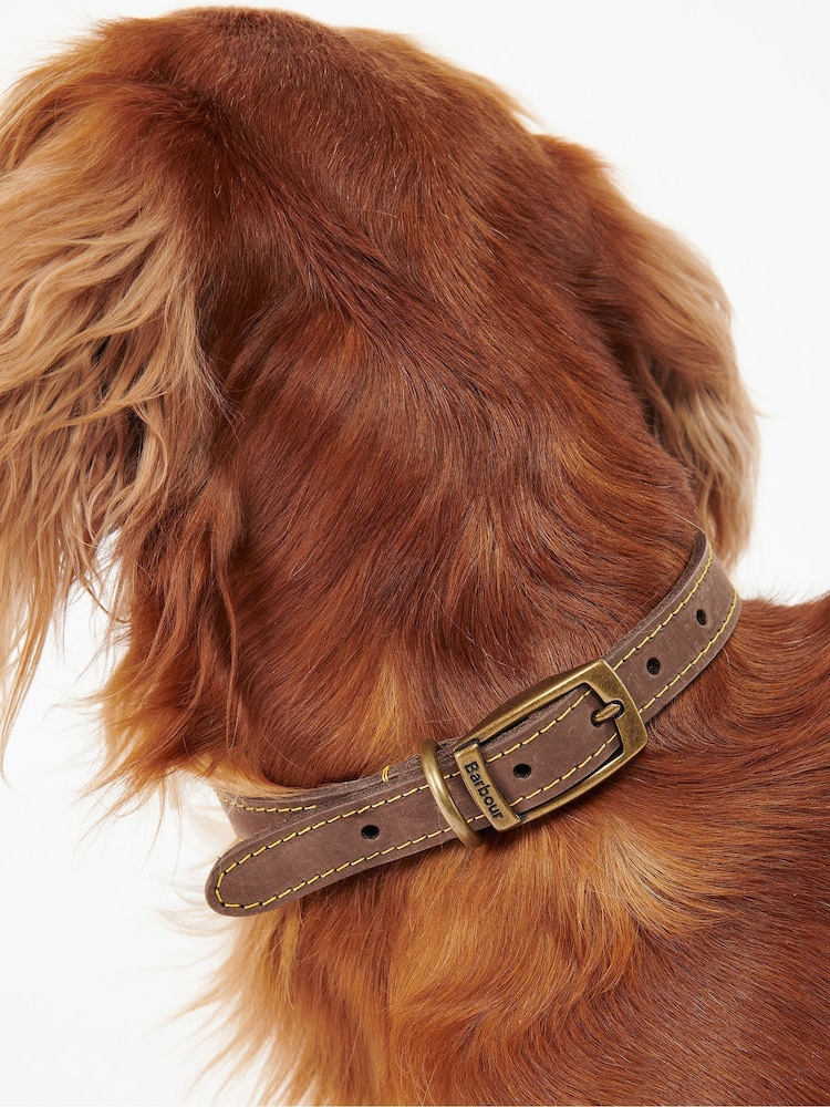Barbour® Brown Leather Dog Collar - Image 2 of 6 Barbour® Brown Leather Dog Collar - Image 2 of 6