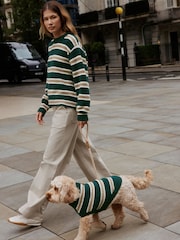 Green Stripe Knitted Pet Jumper - Image 1 of 9