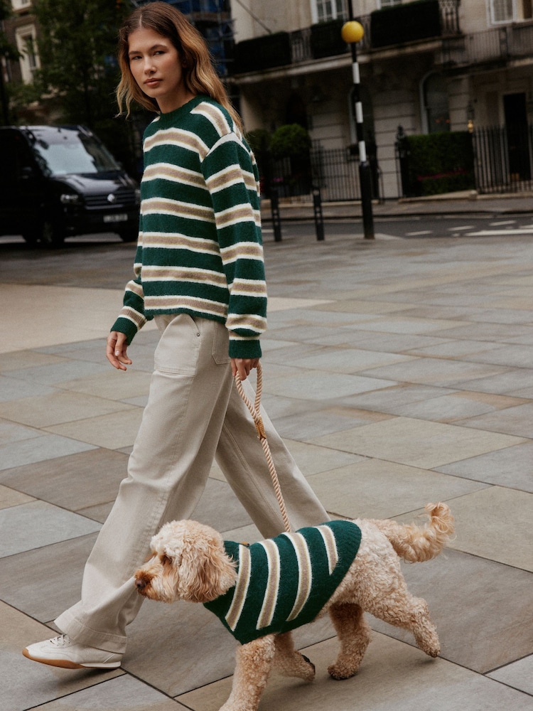 Green Stripe Knitted Pet Jumper - Image 1 of 9 Green Stripe Knitted Pet Jumper - Image 1 of 9